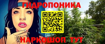 прущие грибы Нягань