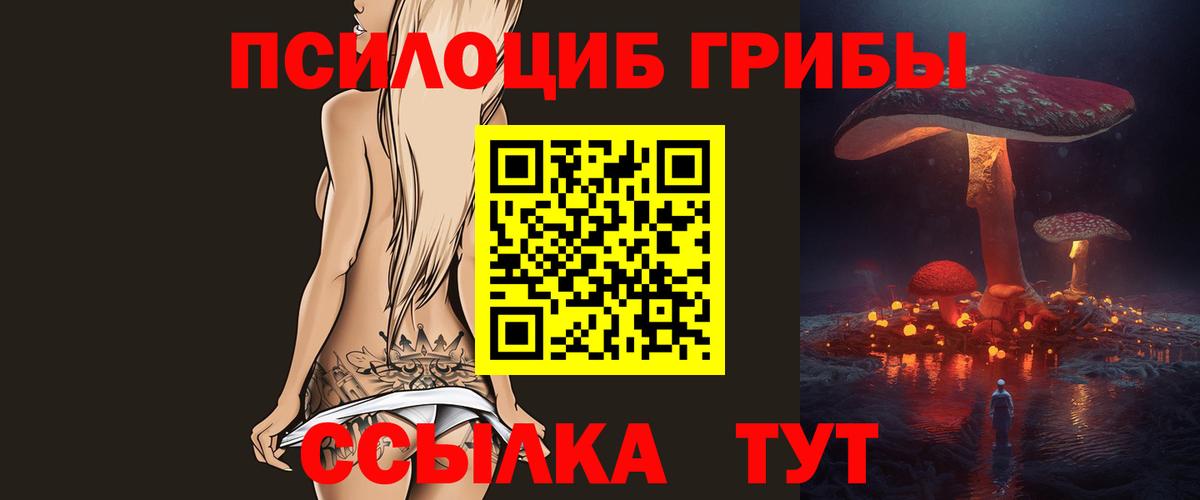 Тосно  Псилоцибиновые грибы мицелий  Вход с VPN  Галлюциногенные грибы прущие грибы 