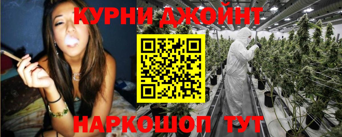 МАРИХУАНА план  МАРИХУАНА ГИДРОПОН  Конопля сатива  Вход с VPN  Тосно 